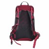 Gregory Jade 20 LT Women's trekking backpack - Red