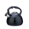 Maestro MR-1310 Kettle 2.5 l Black