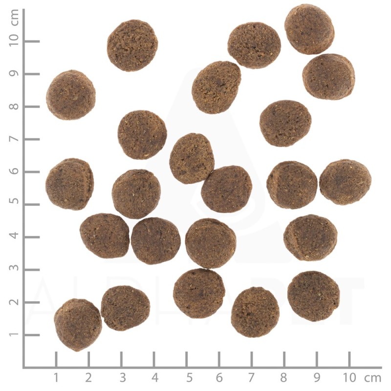 WOLFSBLUT VetLine Gastrointestinal Duck - dry dog food - 12kg WOLFSBLUT VetLine Gastrointestinal Duck - dry dog food - 12kg