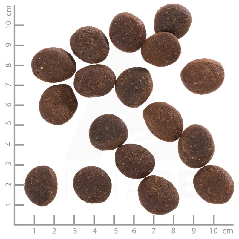 WOLFSBLUT Polar Night Reindeer with sweet potatoes - dry dog food - 12,5kg