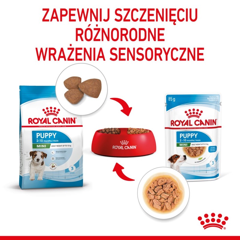 ROYAL CANIN SHN Mini Puppy in sauce - wet puppy food - 12X85g ROYAL CANIN SHN Mini Puppy in sauce - wet puppy food - 12X85g