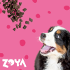 ZOYA ColdPRO Beef - dry dog food - 3kg