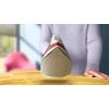 Philips 2000 series DST2010/40 iron Steam iron Non-stick soleplate Red, White Philips 2000 series DST2010/40 iron Steam iron Non-stick soleplate Red, White