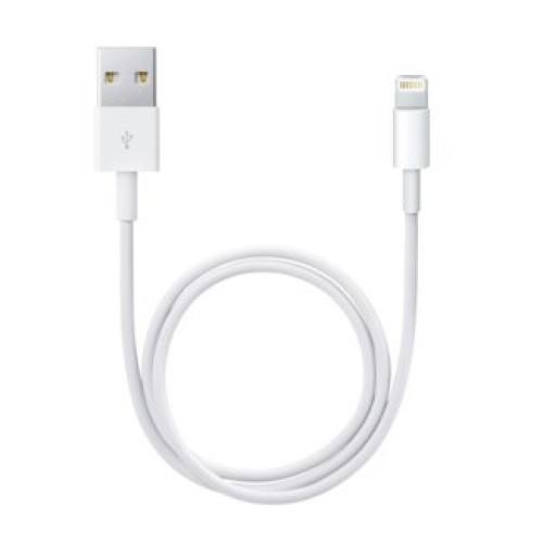 Apple Lightning to USB Cable (0.5 m) Apple Lightning to USB Cable (0.5 m)