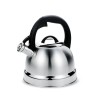 Maestro MR-1329 kettle 2.9 L Stainless steel