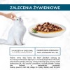 Purina 7613037552300 cats moist food 85 g