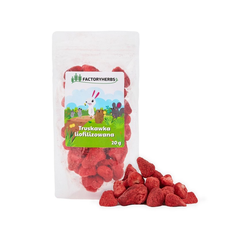 FACTORY HERBS Freeze-dried strawberries - treat for rodents and rabbits - 20g FACTORY HERBS Freeze-dried strawberries - treat for rodents and rabbits - 20g