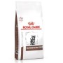 ROYAL CANIN Gastrointestinal Kitten - dry food for kittens -2 kg