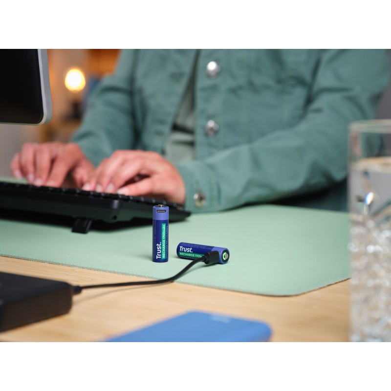 Trust 25584 household battery Rechargeable battery AA Trust 25584 household battery Rechargeable battery AA