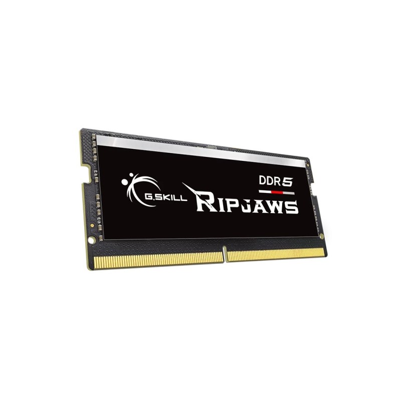 G.Skill Ripjaws F5-5600S4040A16GX1-RS memory module 16 GB 1 x 16 GB DDR5