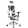 Diablo V-BASIC gaming chair white and black Diablo V-BASIC gaming chair white and black
