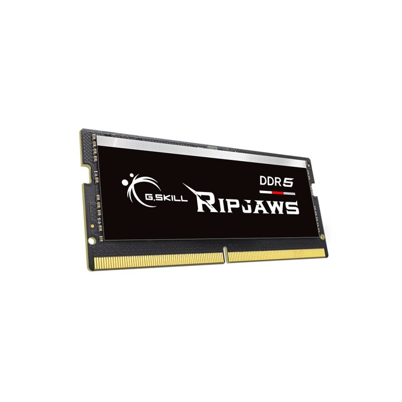 G.Skill Ripjaws F5-4800S3434A16GX1-RS memory module 16 GB 1 x 16 GB DDR5 4800 MHz G.Skill Ripjaws F5-4800S3434A16GX1-RS memory module 16 GB 1 x 16 GB DDR5 4800 MHz