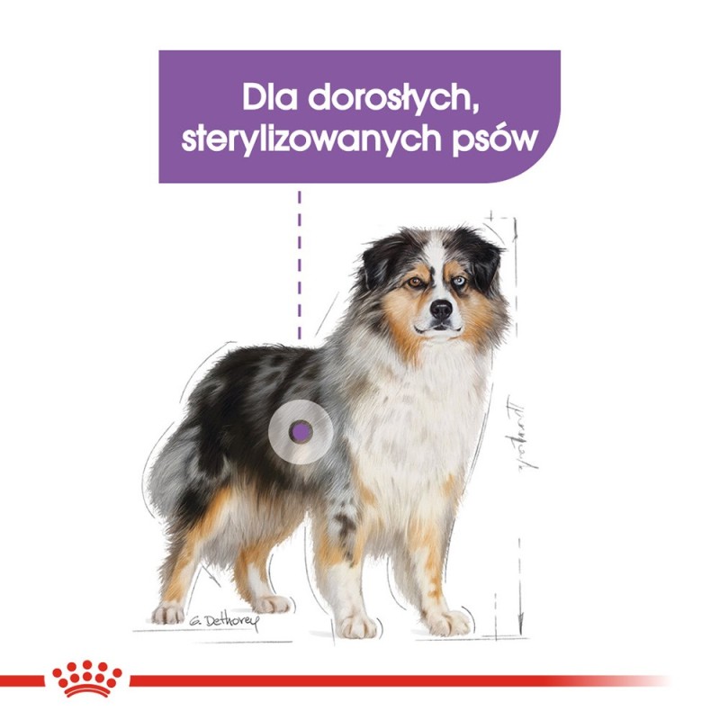 BOSCH Soft Adult Duck and Potatoes - dry dog food - 12,5 kg BOSCH Soft Adult Duck and Potatoes - dry dog food - 12,5 kg