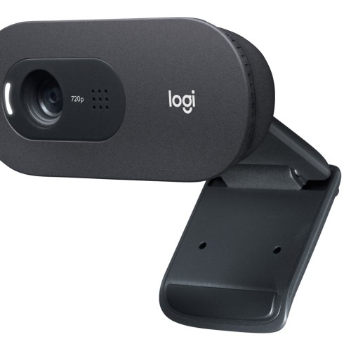 Logitech C505 HD Webcam
