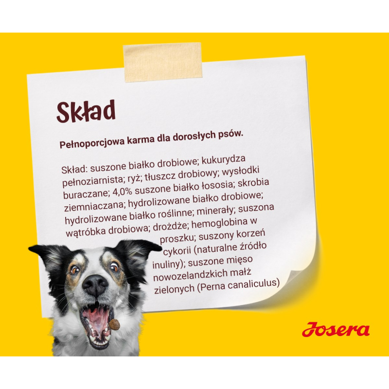 JOSERA Adult Festival - dry dog food - 12,5 kg