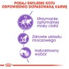 Royal Canin Sterilised  12x85 g