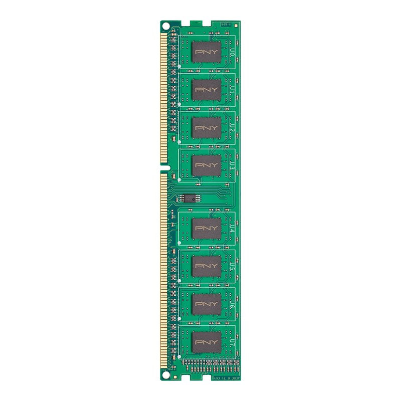 PNY 8GB PC3-12800 1600MHz DDR3 memory module 1 x 8 GB
