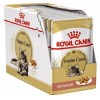 ROYAL CANIN Maine Coon Adult - wet cat food - 12 x 85g