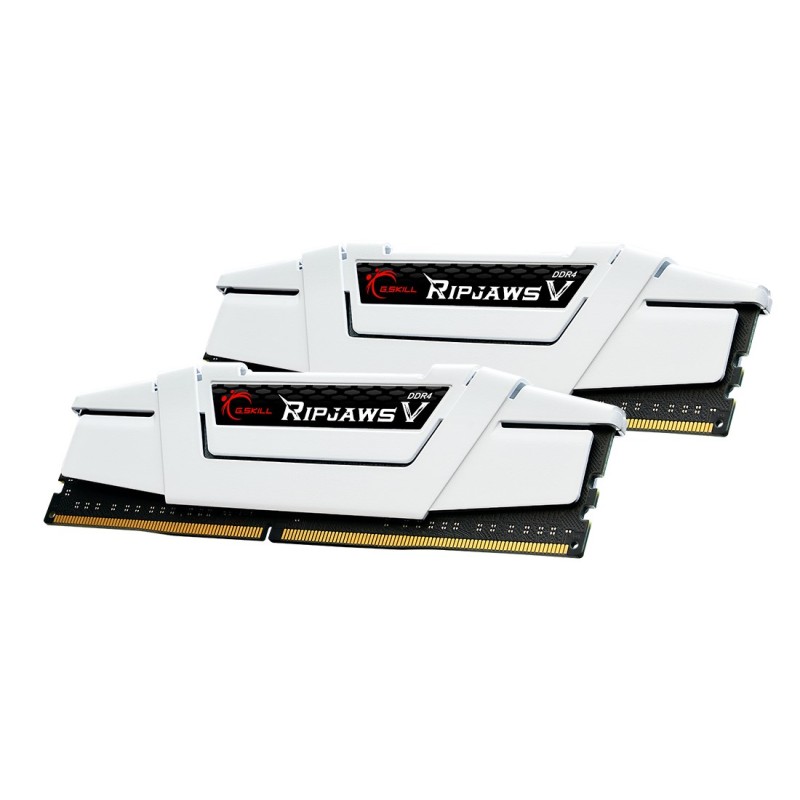G.Skill Ripjaws V F4-3600C18D-32GVW memory module 32 GB 2 x 16 GB DDR4 3600 MHz G.Skill Ripjaws V F4-3600C18D-32GVW memory module 32 GB 2 x 16 GB DDR4 3600 MHz
