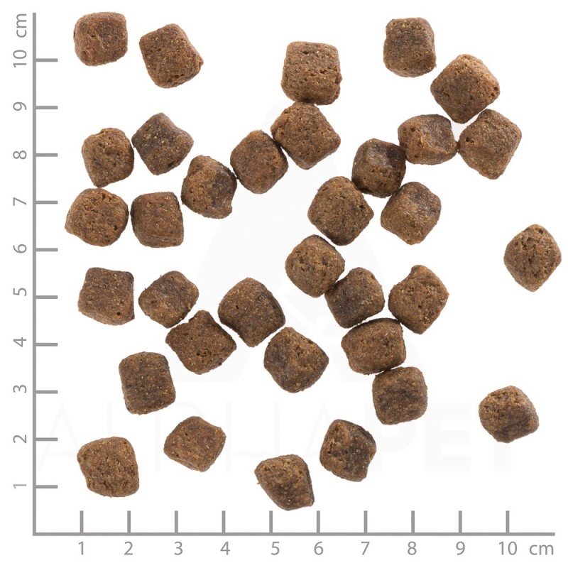 WOLFSBLUT Black Bird Turkey - dry dog food - 12,5kg