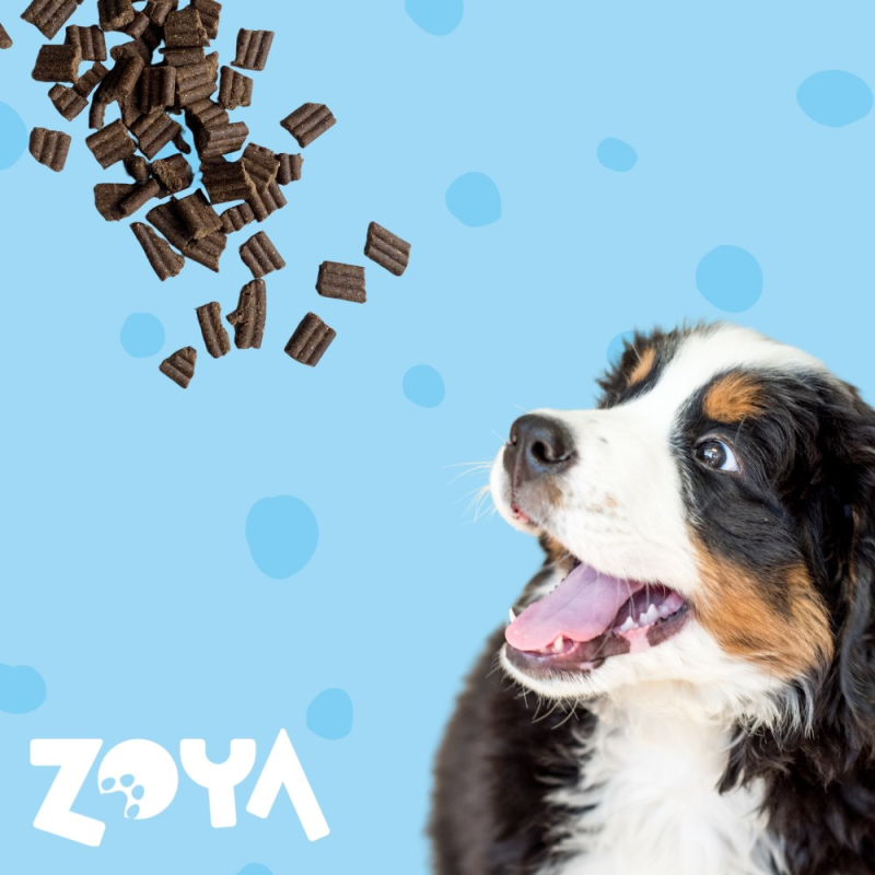 ZOYA ColdPRO Duck - dry dog food - 3kg