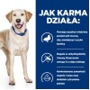 THANK'Q Standard Lamb - dry dog food - 20kg THANK'Q Standard Lamb - dry dog food - 20kg