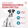 ROYAL CANIN Training Treats - dog treat - 110g ROYAL CANIN Training Treats - dog treat - 110g