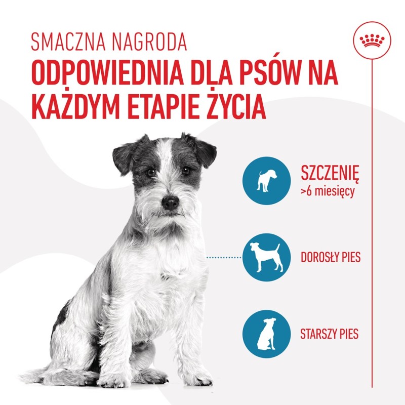 ROYAL CANIN Training Treats - dog treat - 110g ROYAL CANIN Training Treats - dog treat - 110g