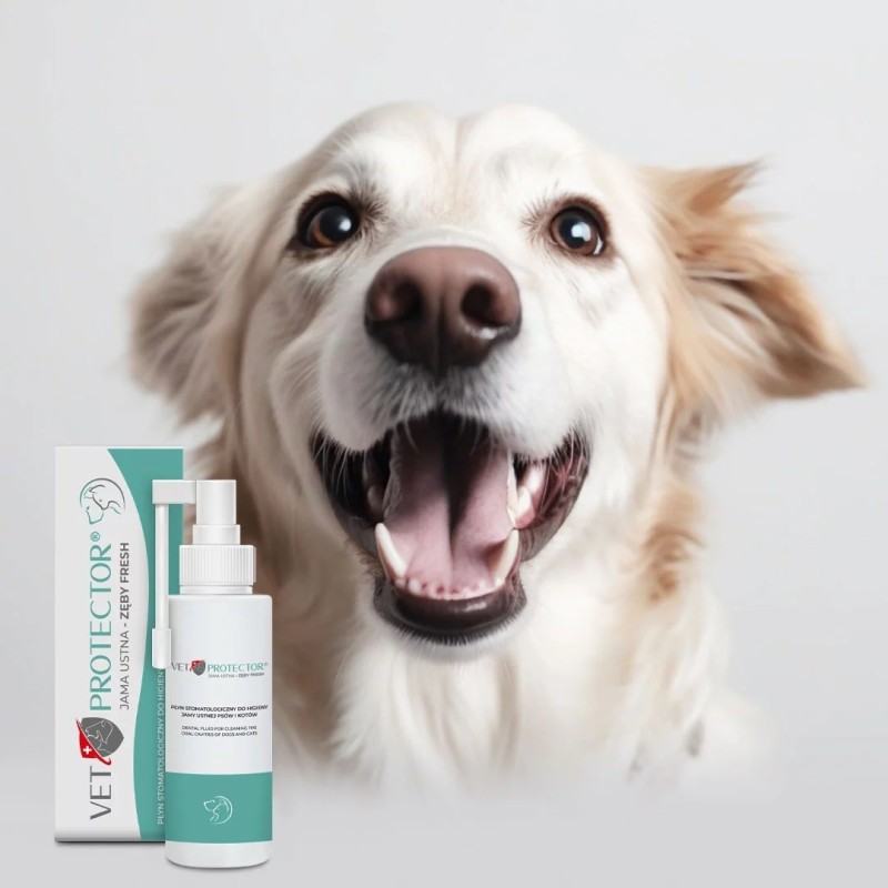 JM SANTE VET PROTECTOR GASTRO - MAŚLAN 60 ml JM SANTE VET PROTECTOR GASTRO - MAŚLAN 60 ml