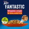 BRIT Care Fillets in Gravy turkey and salmon in sauce - wet cat food - 85 g BRIT Care Fillets in Gravy turkey and salmon in sauce - wet cat food - 85 g