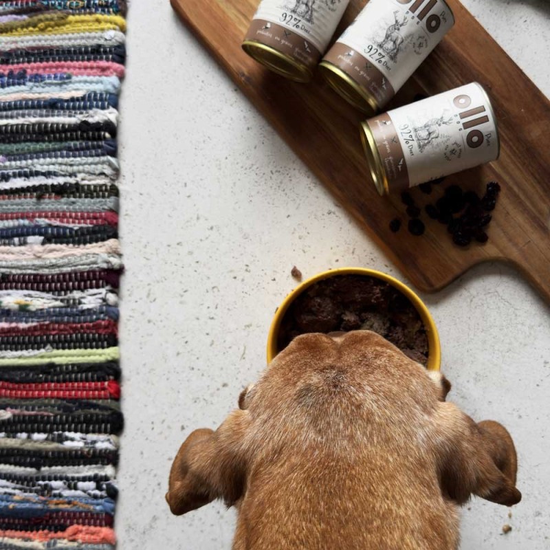 OLLO Pure Deer – wet dog food – 850 g