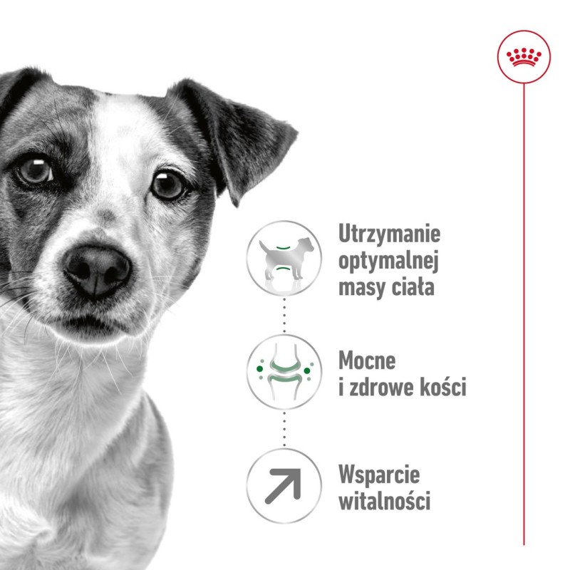 Royal Canin Mini Adult 8+ 8 kg Senior Poultry, Rice, Vegetable Royal Canin Mini Adult 8+ 8 kg Senior Poultry, Rice, Vegetable
