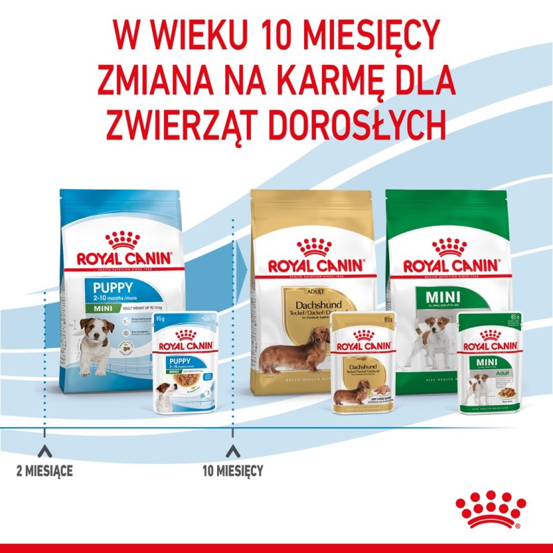 ROYAL CANIN SHN Mini Puppy in sauce - wet puppy food - 12X85g ROYAL CANIN SHN Mini Puppy in sauce - wet puppy food - 12X85g
