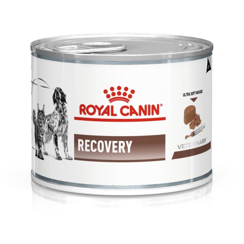 ROYAL CANIN Recovery Wet dog and cat food Mousse Poultry, Pork 195 g