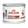 ROYAL CANIN Recovery Wet dog and cat food Mousse Poultry, Pork 195 g