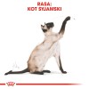 ROYAL CANIN Siamese Adult - dry cat food - 2 kg ROYAL CANIN Siamese Adult - dry cat food - 2 kg