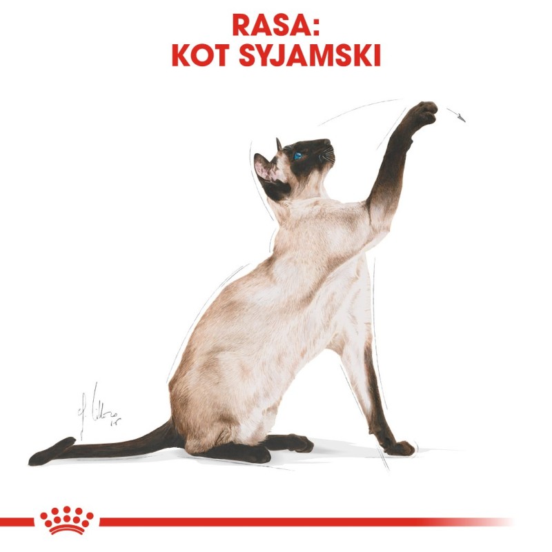 ROYAL CANIN Siamese Adult - dry cat food - 2 kg ROYAL CANIN Siamese Adult - dry cat food - 2 kg