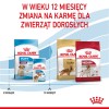 Royal Canin Medium Puppy 15 kg Vegetable Royal Canin Medium Puppy 15 kg Vegetable