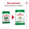 ROYAL CANIN Mini Ageing Adult +12 - dry dog food - 3,5 kg ROYAL CANIN Mini Ageing Adult +12 - dry dog food - 3,5 kg