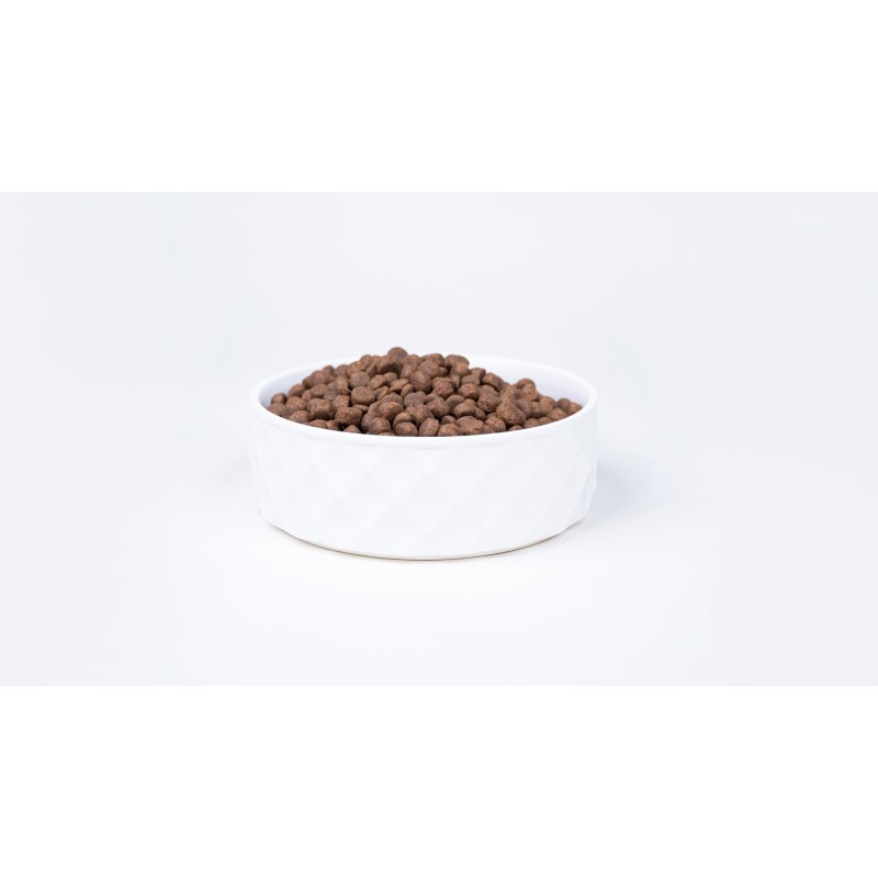 BULT Turkey - dry dog food - 12kg BULT Turkey - dry dog food - 12kg