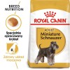 Certech Super Benek Crystal Standard Natural - Cat Litter Non-Clumping 3.8 l Certech Super Benek Crystal Standard Natural - Cat Litter Non-Clumping 3.8 l