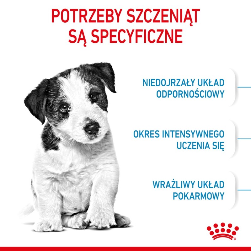 ROYAL CANIN Mini Puppy SHN - dry dog food - 2 kg ROYAL CANIN Mini Puppy SHN - dry dog food - 2 kg