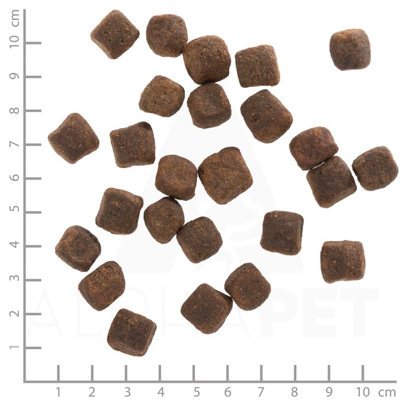 WOLFSBLUT Dark Forest Venison with sweet potatoes - dry dog food - 12,5kg