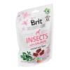Royal Canin Kitten Sterilised cats dry food 3.5 kg Poultry Royal Canin Kitten Sterilised cats dry food 3.5 kg Poultry