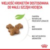Royal Canin FHN Kitten - dry kitten food - 4kg Royal Canin FHN Kitten - dry kitten food - 4kg