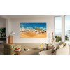 TCL C65 Serie C6 Smart TV QLED 4K 98