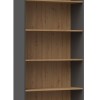 Topeshop R80 ANT/ART office bookcase