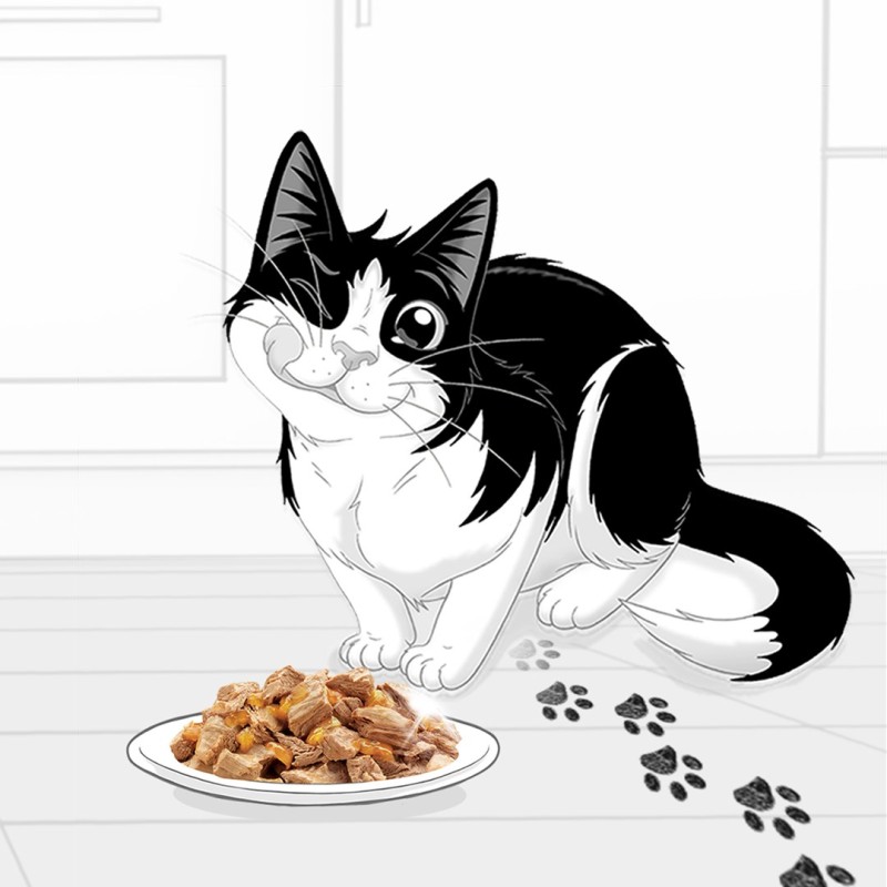 WHISKAS Saszetki aromatyczne mix smaków 40x85g WHISKAS Saszetki aromatyczne mix smaków 40x85g