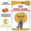 ROYAL CANIN British Shorthair packet 12x85g ROYAL CANIN British Shorthair packet 12x85g