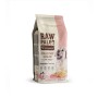 VET EXPERT Raw Paleo Healthy Grain Puppy Salmon and barley - dry dog ​​food - 10 kg